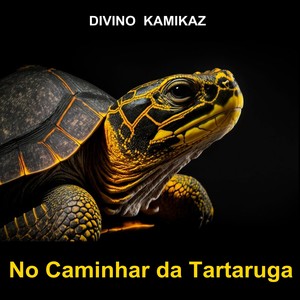 No Caminhar da Tartaruga (Explicit)