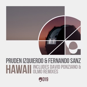 Hawaii (Olmo Remix)