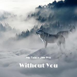Without You(feat. Jee Pro Beats) (Explicit)