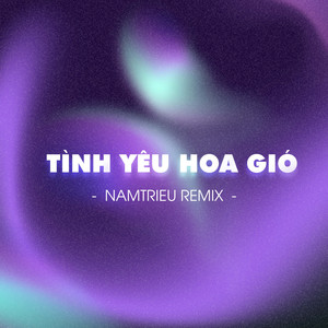 Tình Yêu Hoa Gió (NamTrieu Remix)