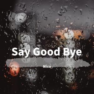 Say Good Bye (wit：PoPo)