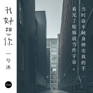 我好想你-兮沐