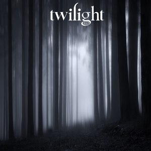 Twilight (Original Mix)