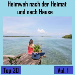 Top 30: Heimweh nach der Heimat und nach Hause, Vol. 1