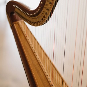 Comfort Orchestra Calm Reflection