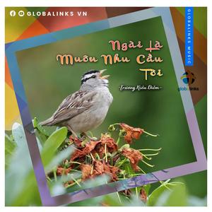 Ngài Là Muôn Nhu Cầu Tôi