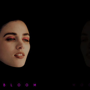 Bloom