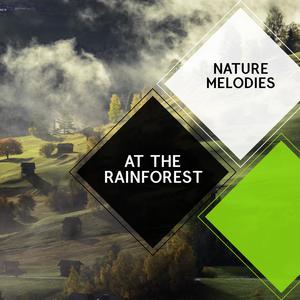 At the Rainforest - Nature Melodies