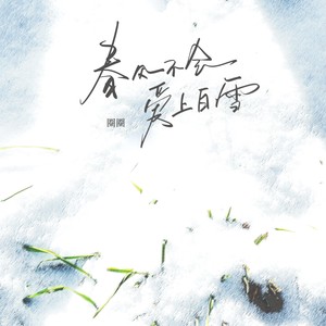 春风不会爱上白雪