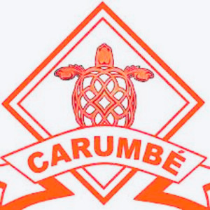 Carumbé Samba Enredo 2014