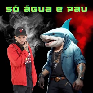 Só Água e Pau (Eletromandelão) (Explicit)