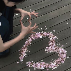 I Really Like You(我是真的真的真的很喜欢你)-Shake9.