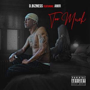 Too Much (feat. Amir) (Explicit)