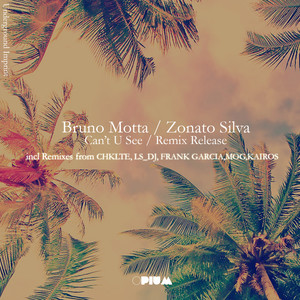 Can't You See (Frank Garcia Remix)