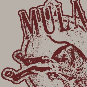 Mula