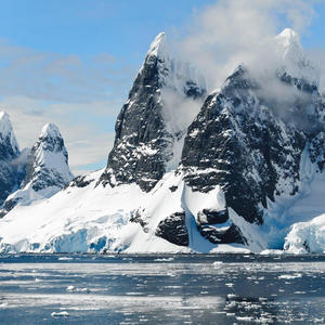 Flowers Are Blooming in Antarctica