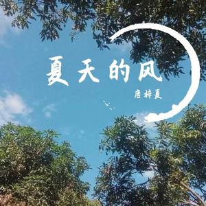 夏天的风 (温暖版|翻自 温岚)