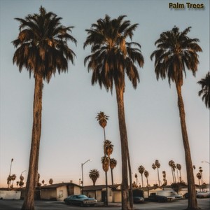 Palm Trees
