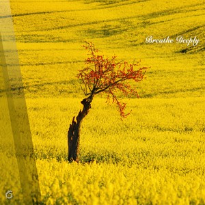 The River of Patience (Original Mix)