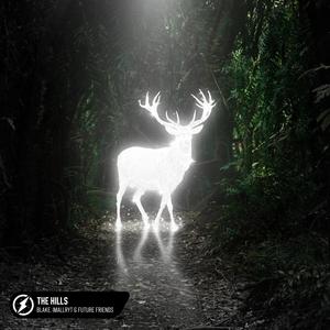 Blake - The Hills