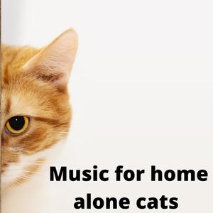 Music for home alone cats