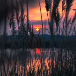 海誓山盟 (DJ版)