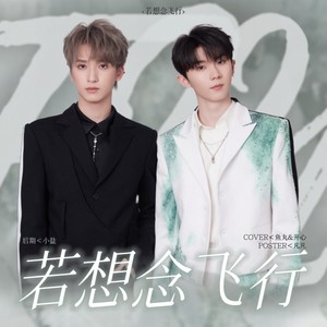 若想念飞行