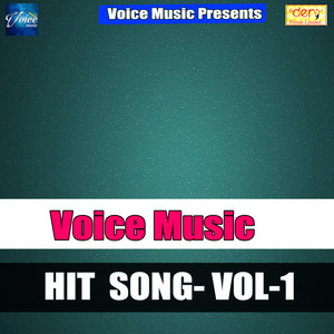 Voice Music Hits Vol - 1
