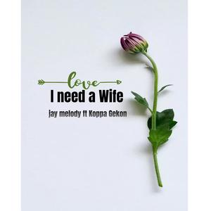 I need a Wife (feat. Jay melody)