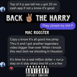 Back 2 The Harry (Explicit)