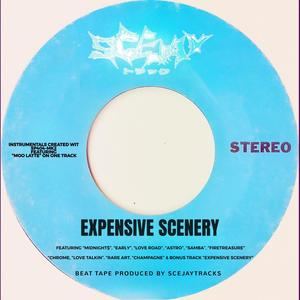EXPENSIVE SCENERY (BONUS TRACK)