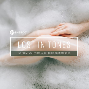 Lost in Tones: Instrumental Vibes, Relaxing Soundtracks