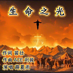 薛晨雨 - 生命之光 (伴奏)