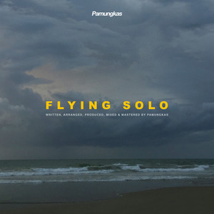 Flying Solo (Explicit)