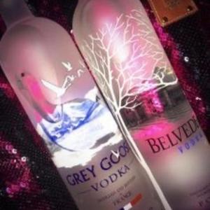 grey goose (Explicit)