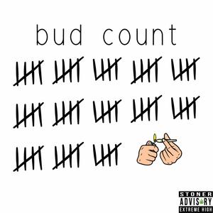 bud count (feat. A.S.H. & Joei Stoner) [Explicit]