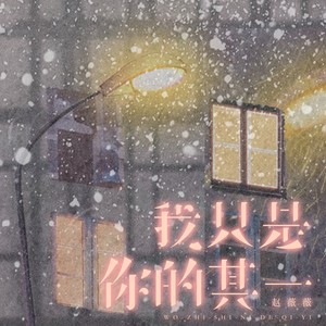我只是你的其一