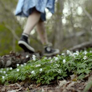 Tanssi Mun Kaa (feat. Organ!k) (Explicit)