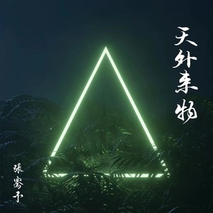 天外来物-音乐节现场