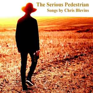 The Serious Pedestrian