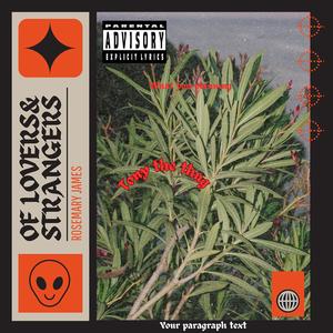 Why T Plan (Explicit)