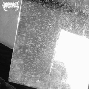 RIVER PHOENIX (Explicit)