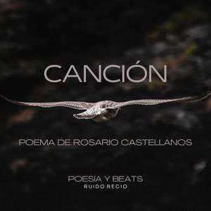 Canción (Poema de Rosario Castellanos)