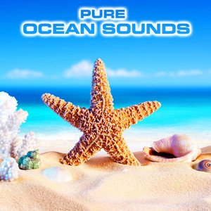 Pure Ocean Sounds (feat. Ocean Atmosphere Sounds, Nature Sounds 3D, Atmospheres Sounds, Water White Noise, Ocean White Noise Sound FX & White Noise Sound FX)