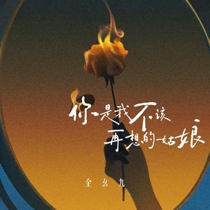 你是我不该再想的姑娘