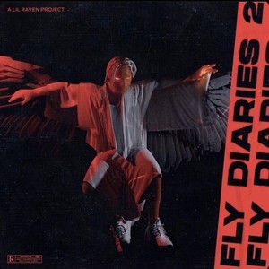 Fly Diaries 2 (Explicit)