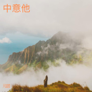 眼泪笑了封面