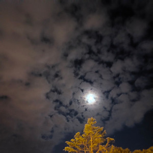 想对全世界宣告 (Demo)