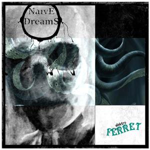 Niespełnione Marzenie (Elektro Ferret Rework) (Explicit)