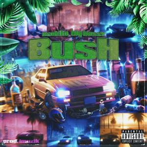 BUSH (feat. Big Bossy) [Explicit]